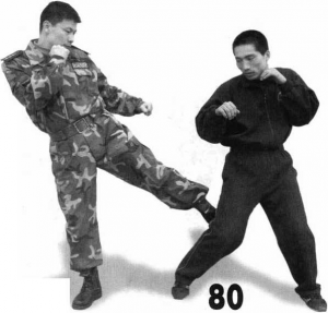 图片100