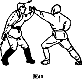图片114