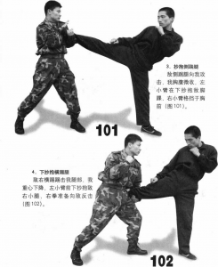 图片11