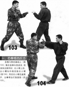 图片12