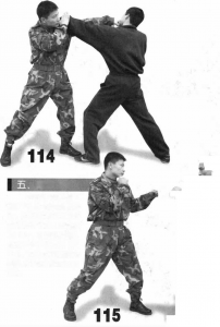 图片17