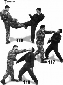图片18