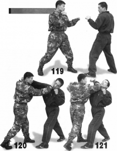 图片19