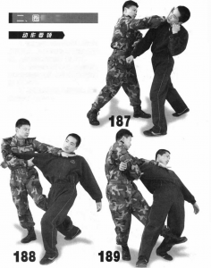 图片49