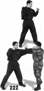 图片65