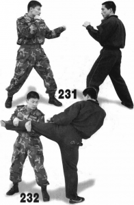 图片69