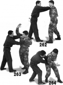 图片79