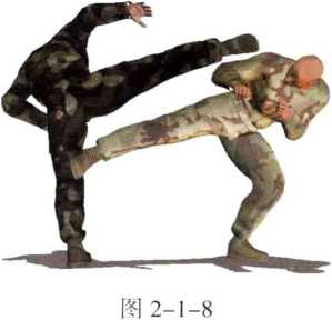 图片8