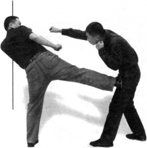 图片10