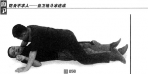 图片75