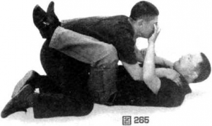 图片81