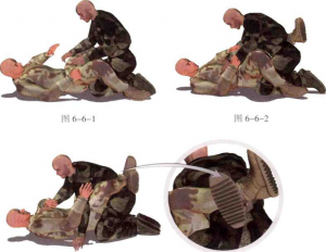图片1-3