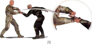 图片19