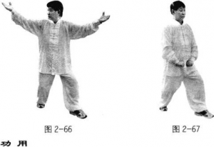 图片66.67