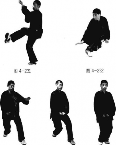 图片35