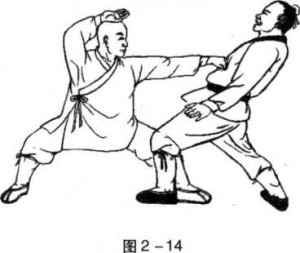 图片14