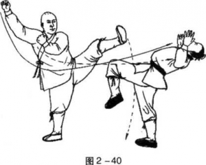 图片40