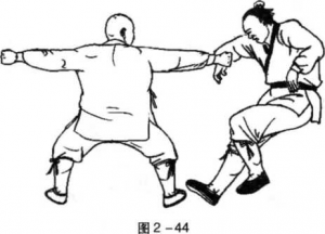 图片44