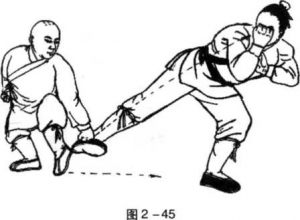 图片45
