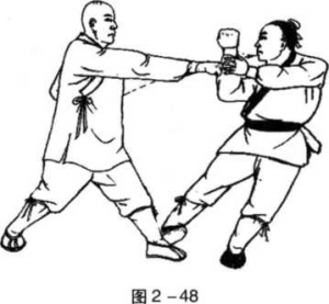 图片48