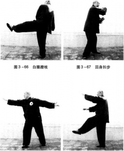 图片119