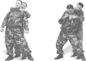图片23