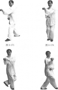图片148