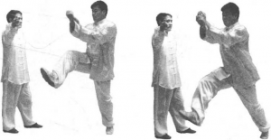 图片191