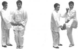 图片196