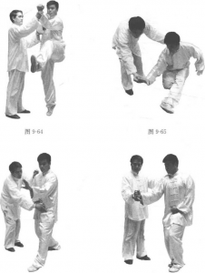 图片198