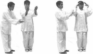 图片213
