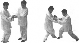 图片241