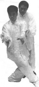 图片245