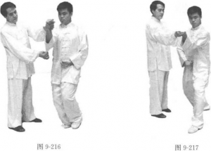 图片281