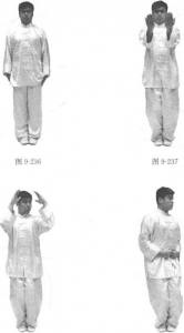 图片294