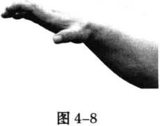 图片8
