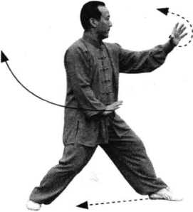 图片13