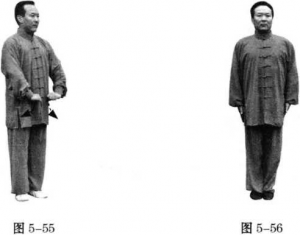 图片55.56
