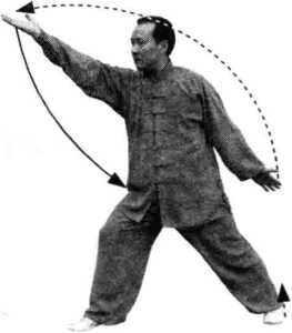 图片20