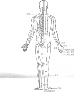 图片5