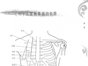 图片11