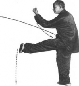 图片15