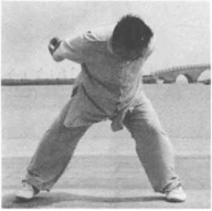 图片86