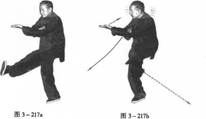 图片102