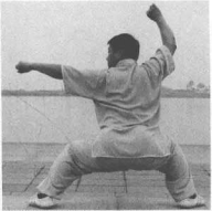 图片100