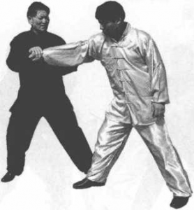 图片12