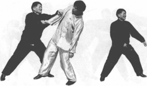 图片14