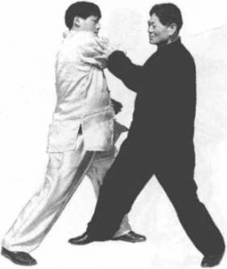 图片19