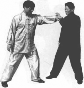 图片86