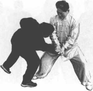图片120